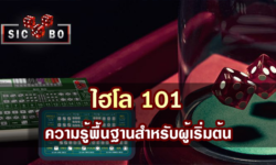 ไฮโล 101 ความรู้พื้นฐานสำหรับผู้เริ่มต้น