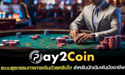 pay2coin ระบบธุรกรรมทางการเงิน